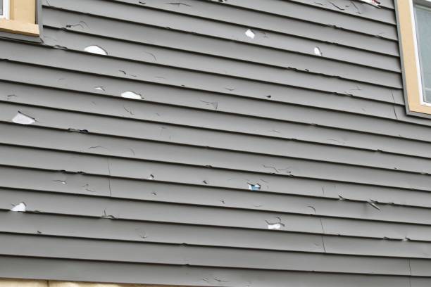 Best Historical Building Siding Restoration  in Rainbow Lakes, NJ